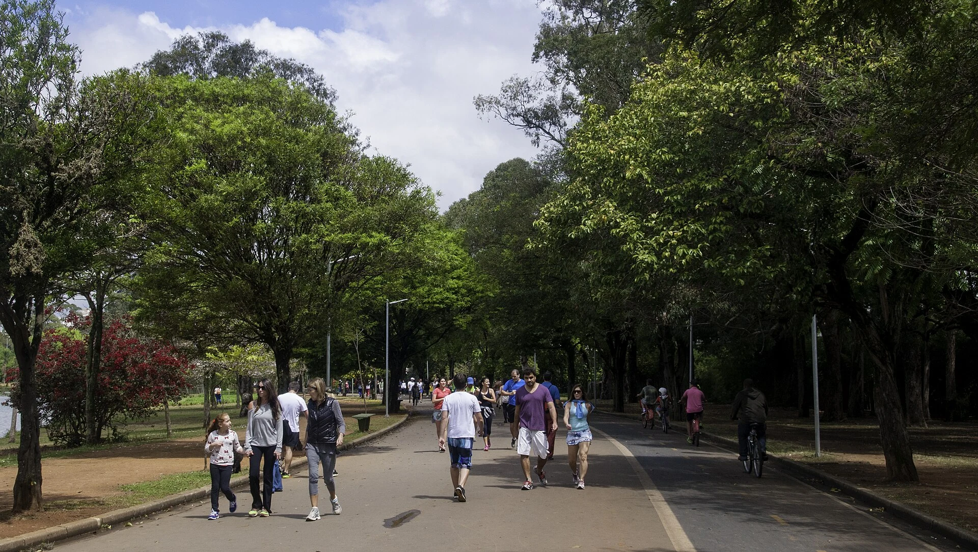 Visitantes caminhando no Parque Ibirapuera, em fotografia real